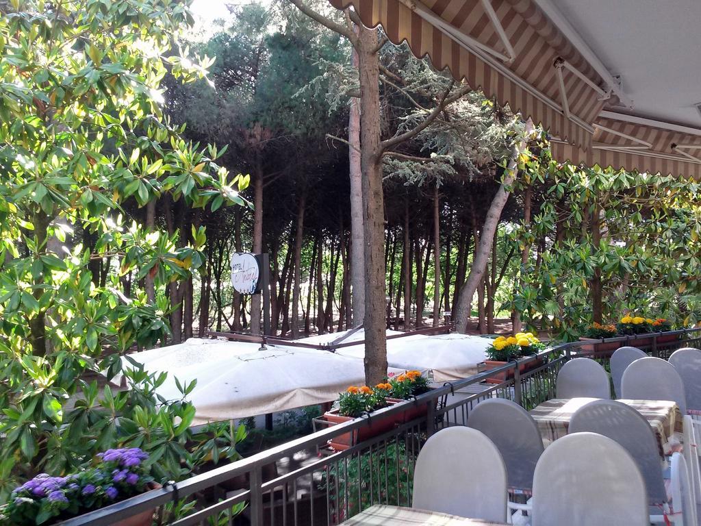 Antares Hotel